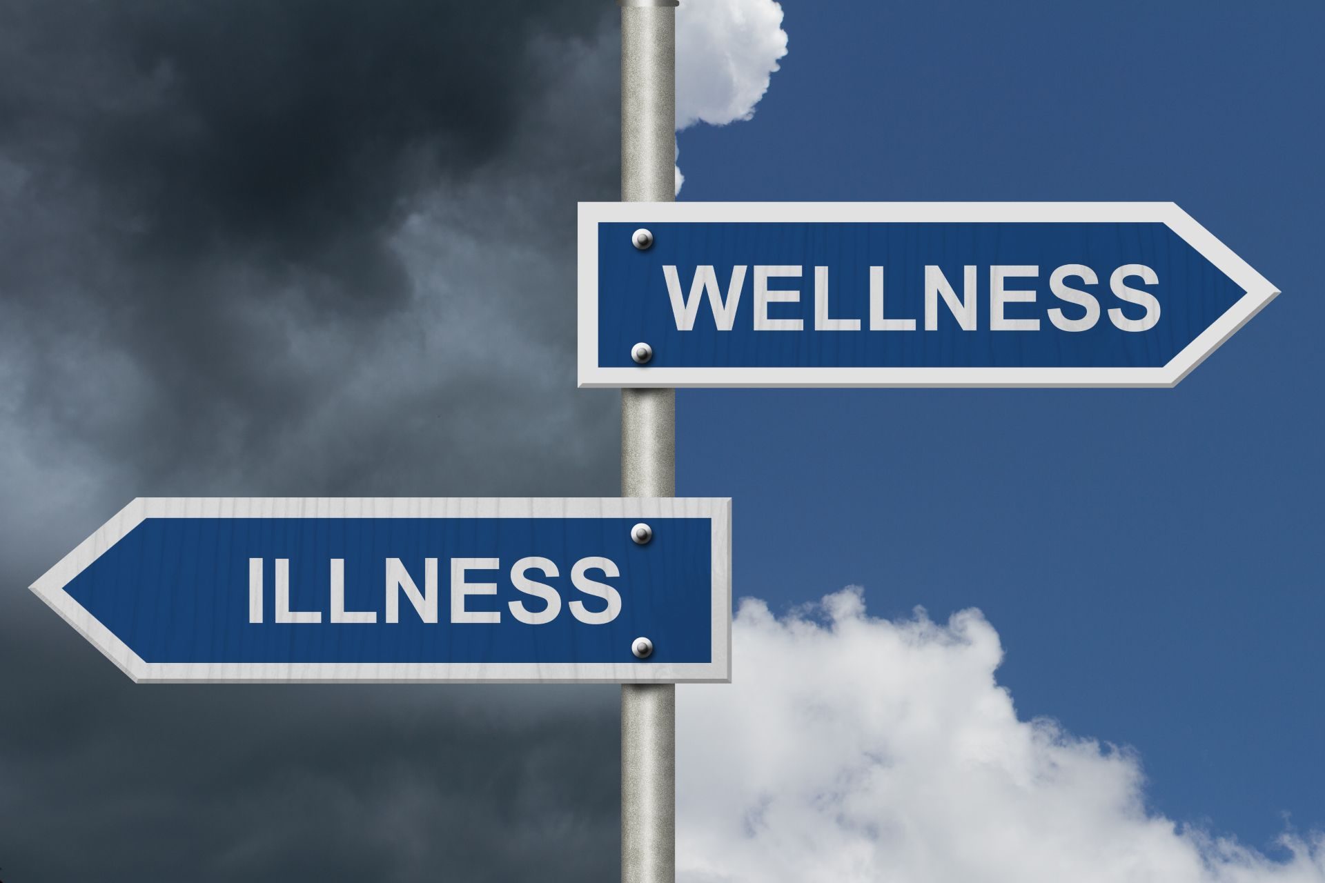 shutterstock_445495267 (1)